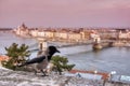 Szechenyi Chain bridge over Danube river, Budapest, Hungary Royalty Free Stock Photo