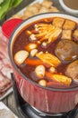 Szechuan Hot Pot