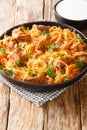 Szekely Gulyas or Szegedin goulash with pork, onions and sauerkraut in a paprika broth closeup  in the plate. Vertical Royalty Free Stock Photo