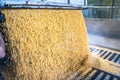 Animal feed factory Royalty Free Stock Photo