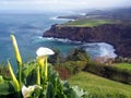 SÃÂ£o Miguel, the green island - Azores