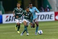 Copa Libertadores of America - Palmeiras BRA x Emelec- EQU - 2022