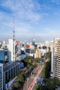 Aerial view of paulista avenue in the afternoon Royalty Free Stock Photo