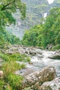 Natural beauties next to Casca D`anta waterfall Royalty Free Stock Photo