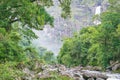 Natural beauties next to Casca D`anta waterfall Royalty Free Stock Photo