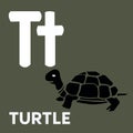 T for turtle.  Alphabet card cartoon character for kids. Royalty Free Stock Photo