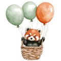 A watercolor illustration features a cute red panda peeking out from a woven basket. Royalty Free Stock Photo
