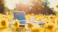A laptop and a white mug are placed on a foldable table amidst a vibrant field of sunflowers Royalty Free Stock Photo