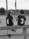 T-ball girls 1 Royalty Free Stock Photo