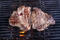 T-Bone on Grill Royalty Free Stock Photo
