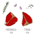 T-bone steak and Porterhouse steak. Vector cartoon illustrations.