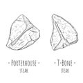 T-bone steak and Porterhouse steak. Vector cartoon illustrations.