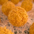 T-cell warriors in microscopic battleground fighting pollen. Royalty Free Stock Photo