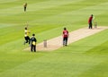 T20 Cricket Match Royalty Free Stock Photo