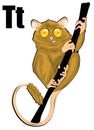 Cute tarsier cartoon