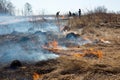 T dry grass burning in forest fire