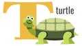 T letter card. Cartoon alphabet with turtle animal Royalty Free Stock Photo