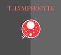 Illustration of T cell lymphocyte from the immune system Royalty Free Stock Photo