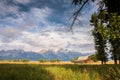 T.A. Moulton Barn With View of Grand Tetons Background Royalty Free Stock Photo