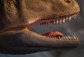 T rex dinosaur teeth sharp and ready to hunt