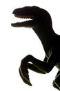 T-Rex dinosaur toy silhouette in back light. Tyrannosaurus Rex