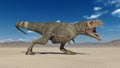 T-Rex Dinosaur, Tyrannosaurus Rex reptile, prehistoric Jurassic animal roaring in deserted nature environment, 3D render Royalty Free Stock Photo