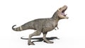 T-Rex Dinosaur, Tyrannosaurus Rex reptile roaring, prehistoric Jurassic animal isolated on white background, 3D rendering