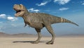 T-Rex Dinosaur, Tyrannosaurus Rex reptile roaring in desert, prehistoric Jurassic animal in deserted nature environment, 3D Royalty Free Stock Photo