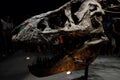 T-Rex skull in Paris