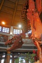 T-Rex Tyrannosaurus Rex Skeleton
