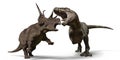 T-rex vs diabloceratops Royalty Free Stock Photo