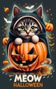 T-Shirt Design: 'Meow Halloween' - Masterful Photorealistic Cat in Pumpkin Hollowing Illustration
