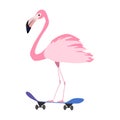 T-shirt illustration with pink flamingo on skateboard.