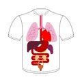 T-shirt Internal organs. Human anatomy. Systems of man body and