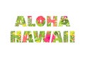 T-shirt print with Hawaii lettering with tropical leaves and flowers