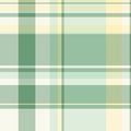 T-shirt textile texture tartan, direct vector pattern background. National plaid fabric check seamless in pastel and white colors