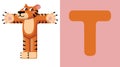 T is for Tiger. Letter T. Tiger, cute illustration. Animal alphabet.