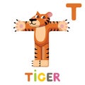 T is for Tiger. Letter T. Tiger, cute illustration. Animal alphabet