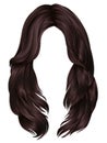 trendy woman long hairs brunette brown brunette colors.beauty fashion . realistic graphic 3d Royalty Free Stock Photo