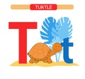 Letter T and funny cartoon turtle. Animals alphabet a-z. Cute zoo alphabet in vector for kids learning English vocabulary. Printab Royalty Free Stock Photo