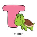 T with turtle