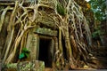 Ta Phrom Doorway