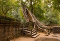 Ta Phrom Ruins