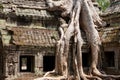 Ta Phrom temple Royalty Free Stock Photo