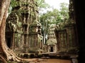 Ta prohm 2