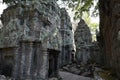 Ta Prohm Royalty Free Stock Photo