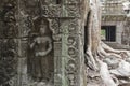 Ta Prohm in Angkor Royalty Free Stock Photo