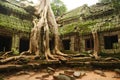 Ta Prohm, Angkor Wat Royalty Free Stock Photo