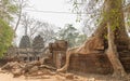 Ta Prohm, Angkor Wat, Siem Reap, Cambodia. July 22, 2015 Ta Prohm temple with giant banyan tree at sunset. Tourists walk around..