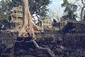 Ta Prohm in Cambodia